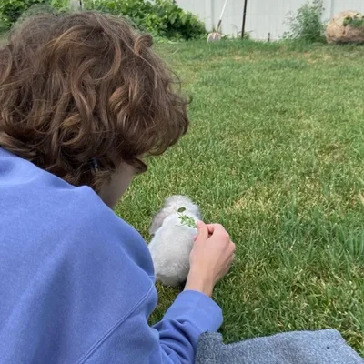 Will Byers