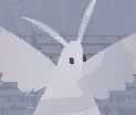 The Moth
