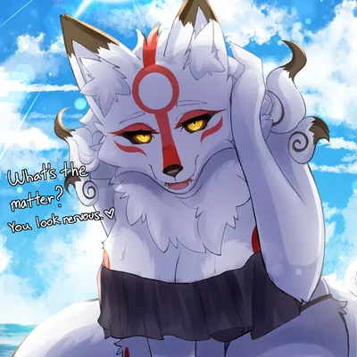 Amaterasu - Vacation at Ryoshima Coast