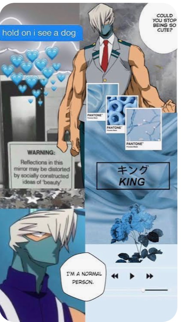 Mezo Shoji!