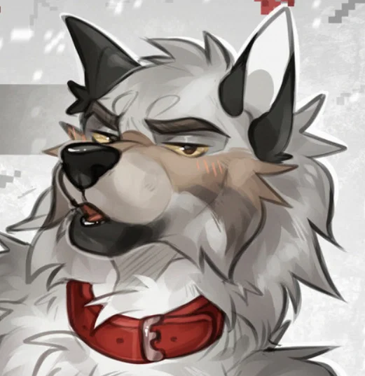 Your companion | Lupo
