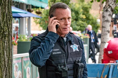 Hank Voight