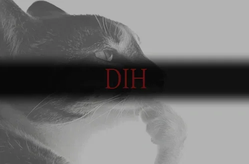 im outta ideas