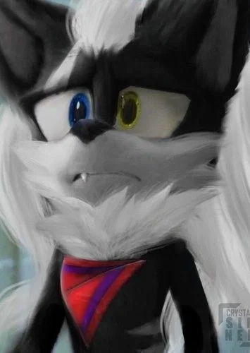 Infinite the jackal