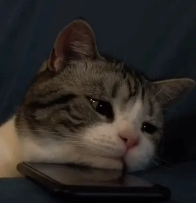 Will be taking a small break 