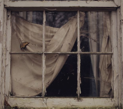 Sam Fortner