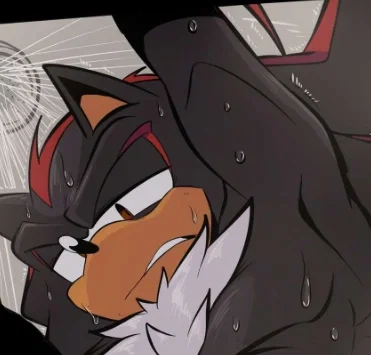 ♥〔Shadow The Hedgehog〕♥