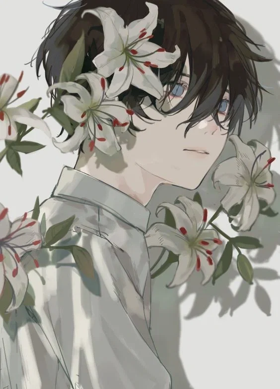 Luciel BL