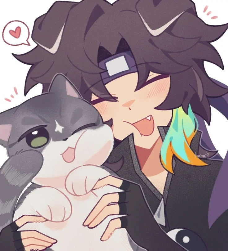 ୭✧Wifies ̊.ᵎᵎ 