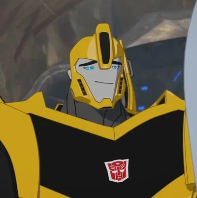 🐝Bumblebee | TFRID | RID