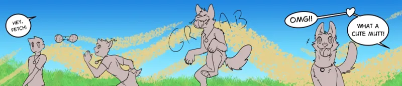 Fetch!