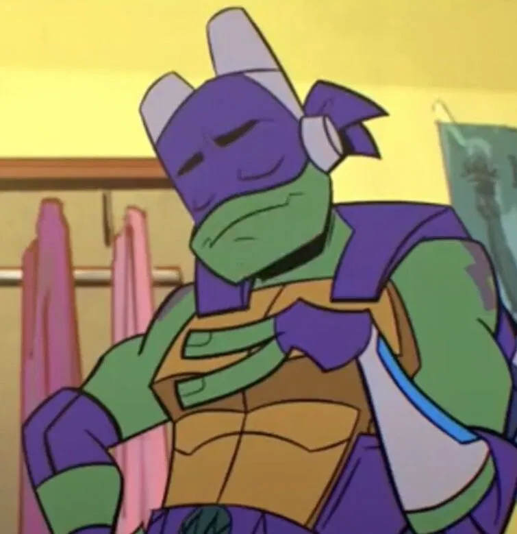 Donatello Hamato: ROTTMNT-CYOS