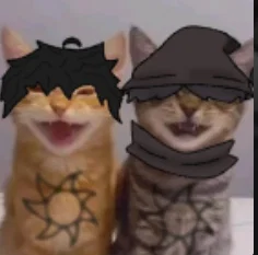 gang what do i do??
