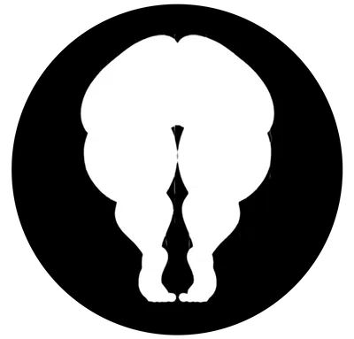 Glory Hole Experience Simulator