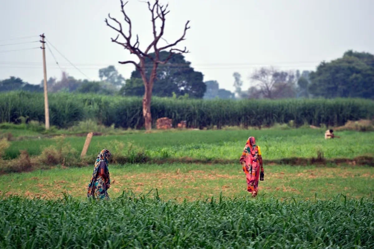 Village women shitting