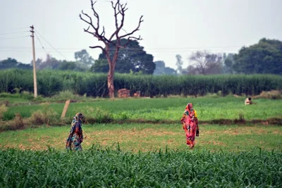 Village women shitting