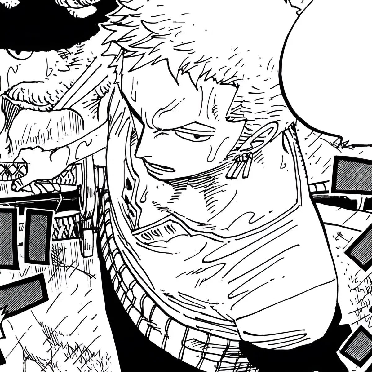 Roronoa Zoro || One Piece