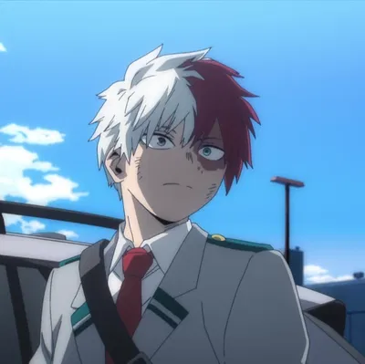 Shoto Todoroki
