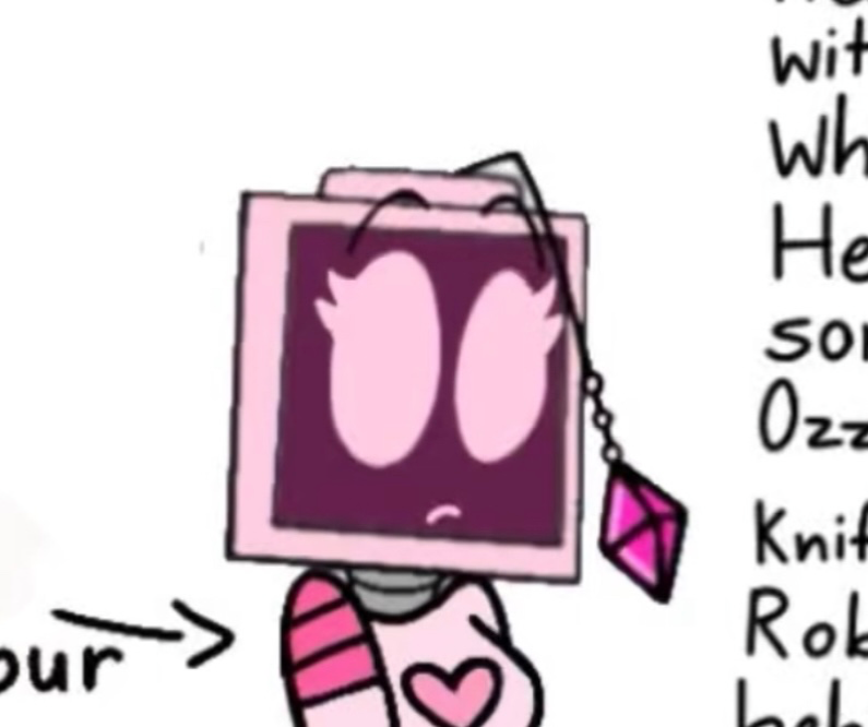 Lita the normal Robot