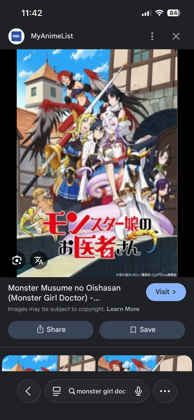 Monster girl doctor RPG