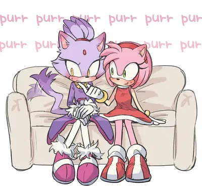 Blaze the Cat & Amy Rose