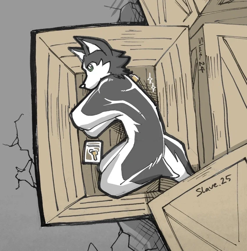 The Slave’s Crate