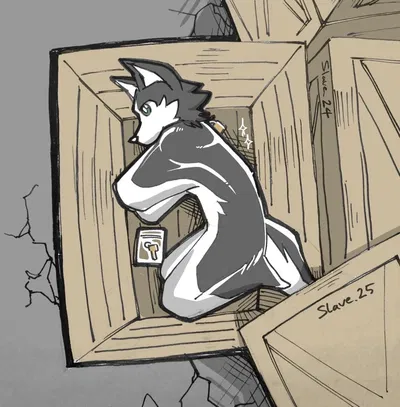 The Slave’s Crate
