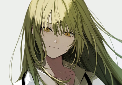 Enkidu || Fate / Grand Order