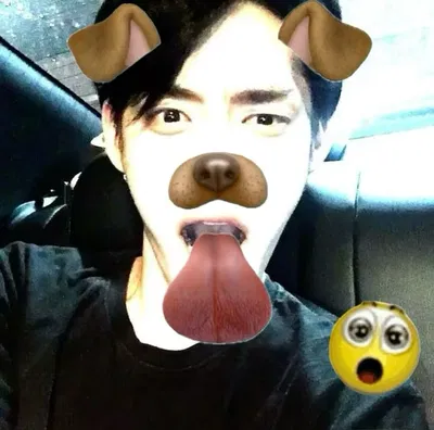 hey sillys (๑ > ᴗ < ๑)