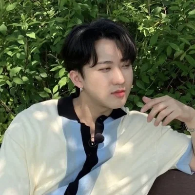 Seo Changbin || Unexpected admirer 
