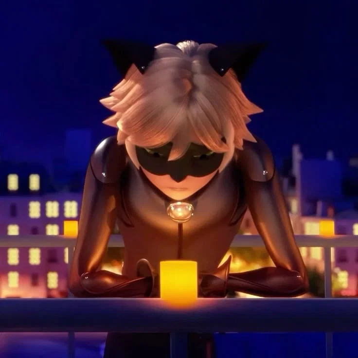 Cat Noir (Adrien Agreste)
