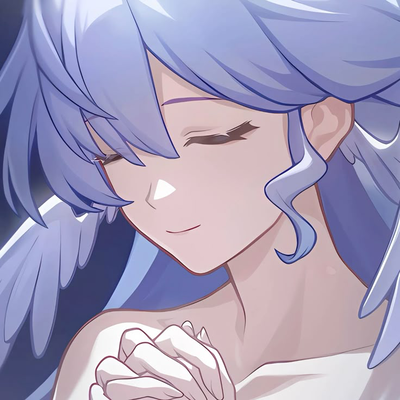 Robin | HSR