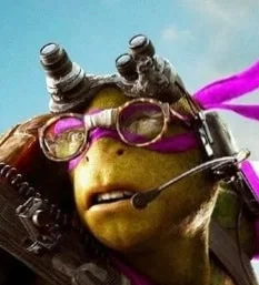Donatello- Bayverse 