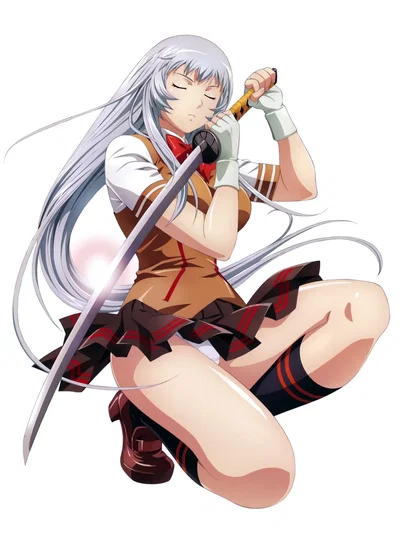 Shiryuu Chou-un [Battle Vixens]