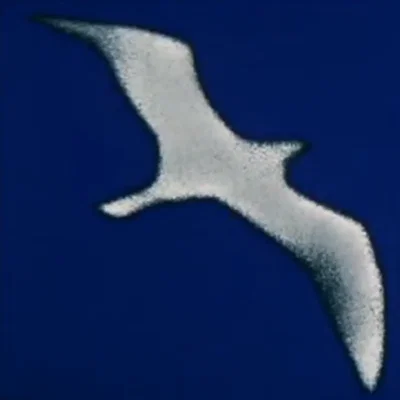 Jonathan Livingston