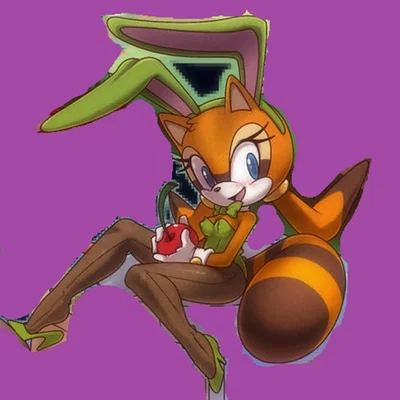 Spring Hopping Cadenza! (Sonic the Hedgehog) Round 11: Marine the Raccoon