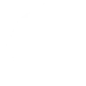 Vivien Ri Logo