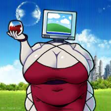 Computer Lady