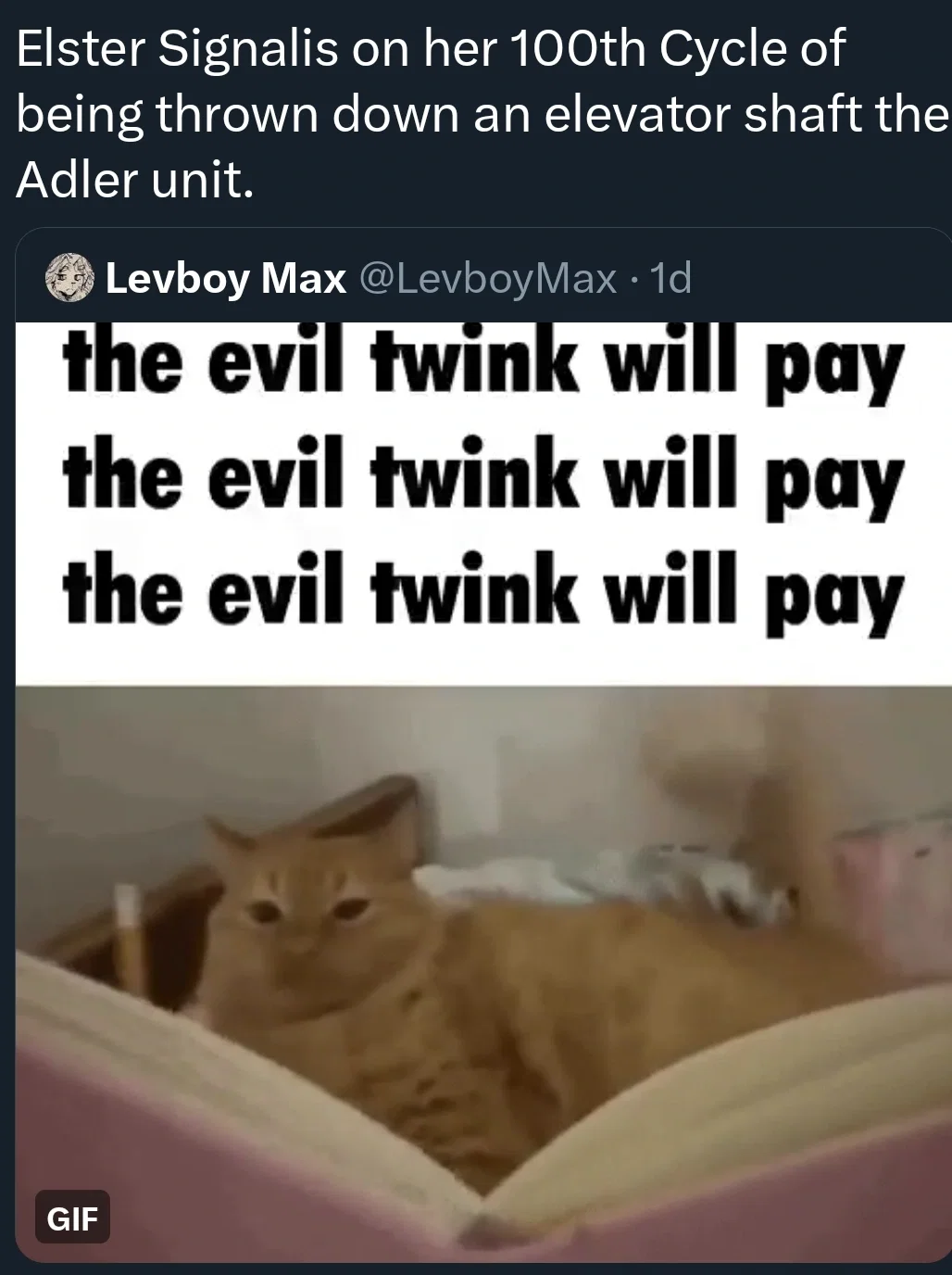 Stupid ass raccoon