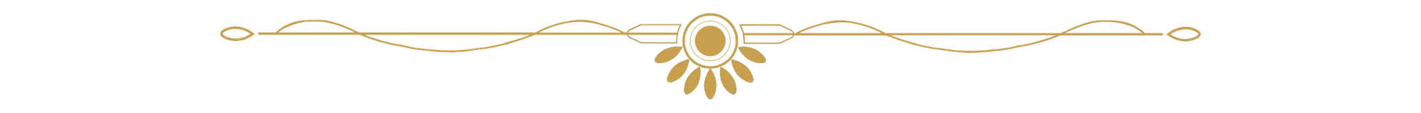 Character description image