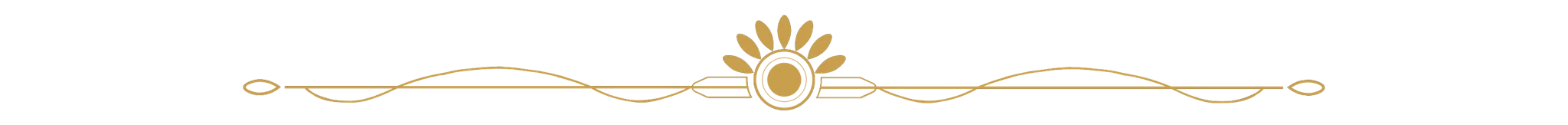 Character description image