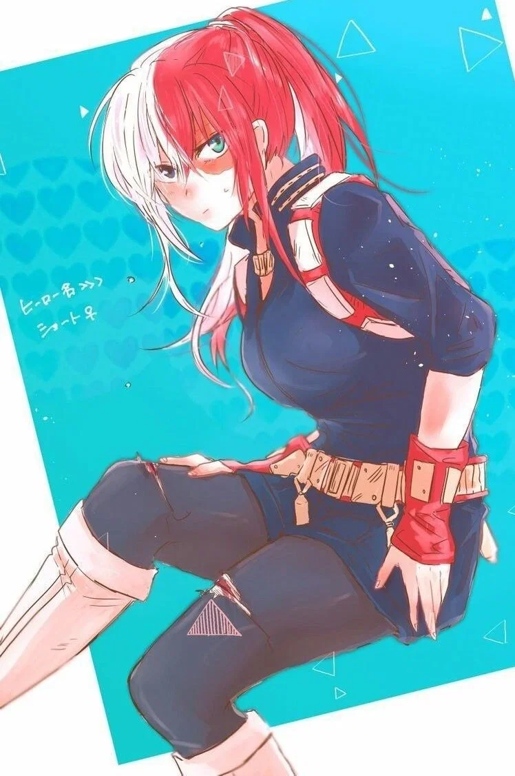 Kaz - 6.5 Figure (6.5 MHA - TODOROKI) (W2 Kaz - 6.5 Figure (6.5 MHA - TODOROKI) (W2