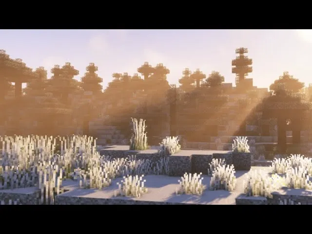 The command