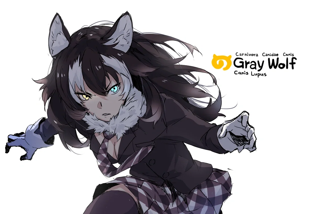 Gray Wolf - Kemono Friends